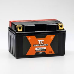 YTZ10S-BS AGM motorcycle battery