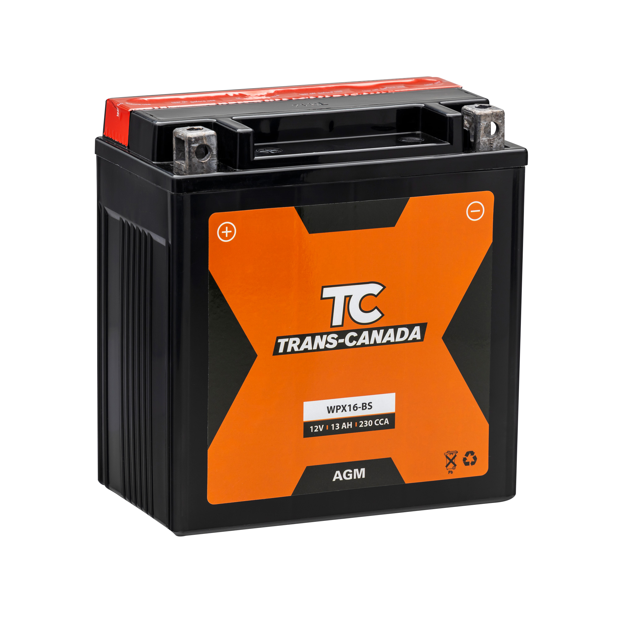 YTX16-BS AGM Motorcycle battery Royal Battery Sales